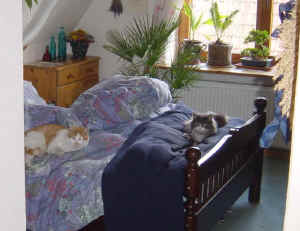 Benny und Mizzi auf dem Bett.jpg (45582 Byte)