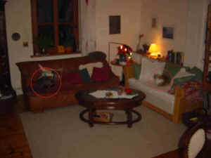 Benny und Mizzi auf demSofas