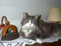 Benny etwas muffig???