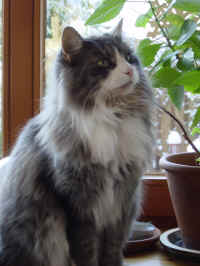 DSC00138.JPG (902470 Byte)