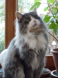 DSC00139.JPG (901348 Byte)