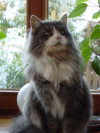 DSC00144.JPG (845425 Byte)