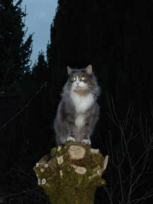 DSC00429.JPG (499468 Byte)