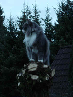 DSC00431.JPG (483509 Byte)