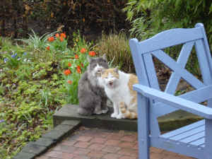 DSC00576.JPG (509021 Byte)