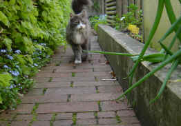 DSC02715.JPG (504372 Byte)