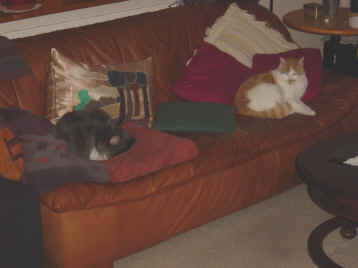 DSC03999.JPG (478326 Byte)