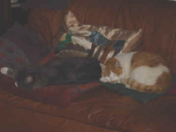 DSC04080.JPG (505365 Byte)