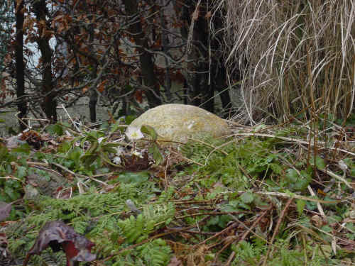 bennysgrab.jpg (295195 Byte)